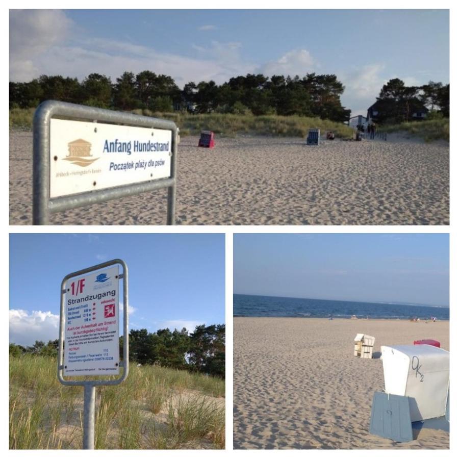 Luett Hus * Heringsdorf (Usedom)